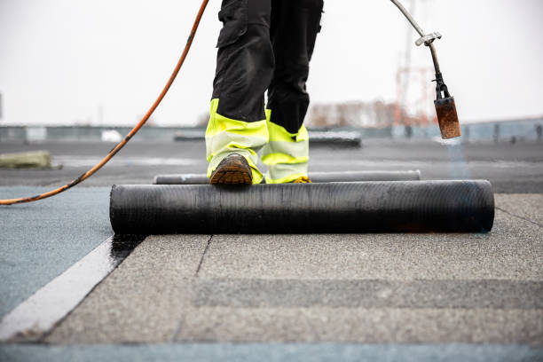 Best Roof Moss and Algae Removal  in Commerce, OK